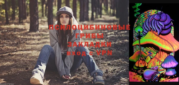 эйфоретик Алзамай