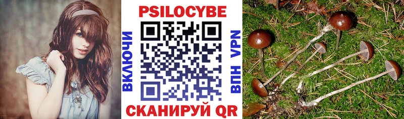 Галлюциногенные грибы мухоморы  Сортавала 